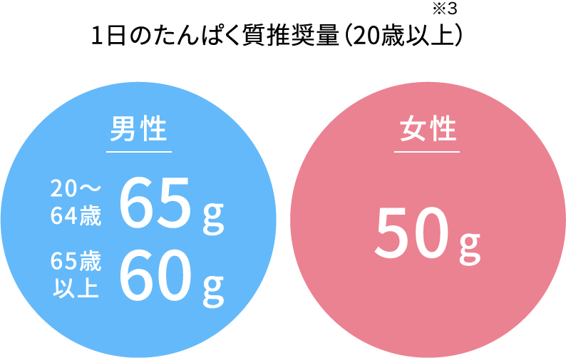 SALE／99%OFF】 ディー ベース部品2個付 ネコポス対応 RD-014BB レーヴ ブリッジ
